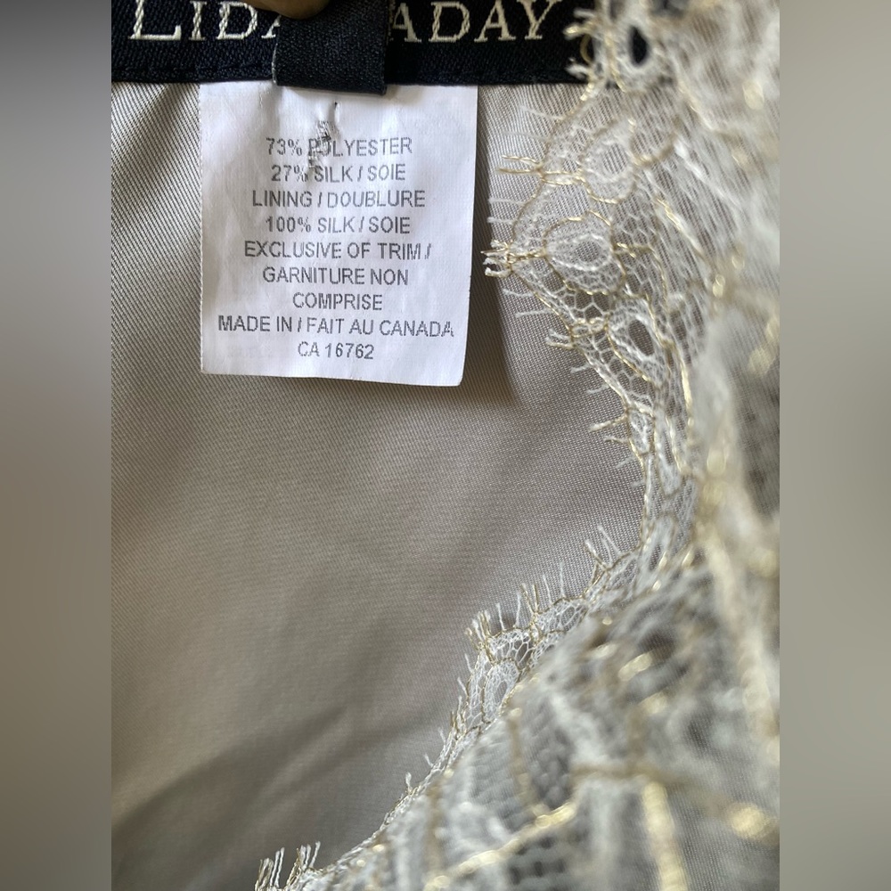 Lida Baday Taffeta and Lace Dress, size 8 - Picture 6 of 11